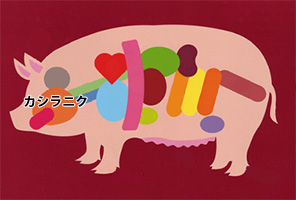 豚頭肉 部位 豚内臓 取扱商品一覧 株式会社 清川産業 豚頭肉 部位 豚内臓 取扱商品一覧 株式会社 清川産業